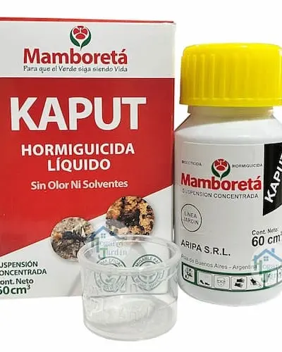 Mamboreta